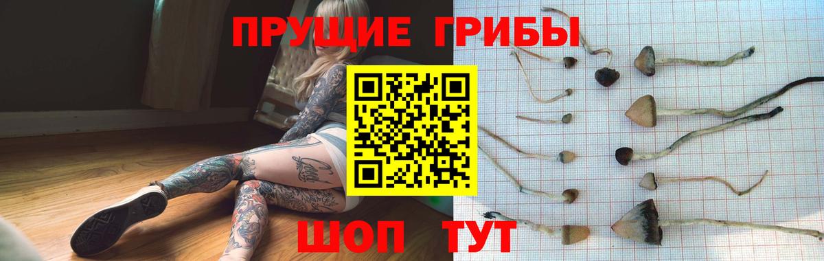 Галлюциногенные грибы мицелий Рузаевка